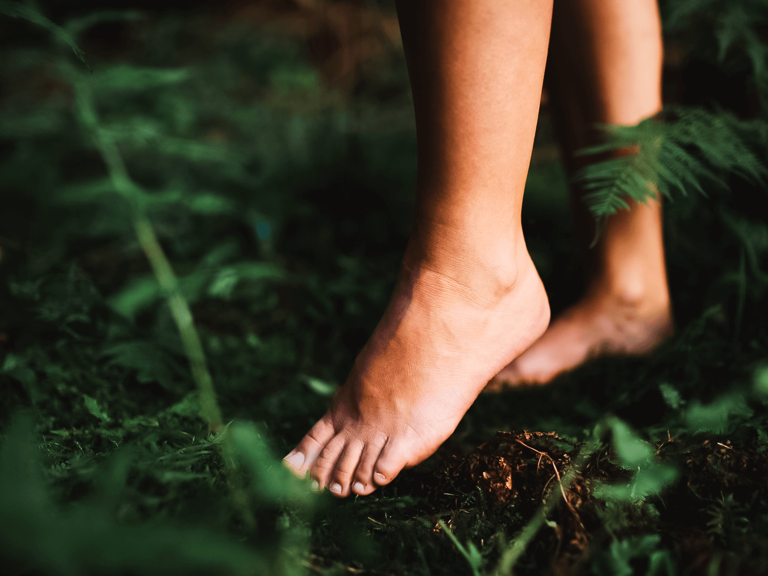 Feet in nature touching a leaf